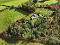 Photo 39 of 112 Peacock Road, Sion Mills, Strabane