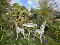 Photo 33 of 24 Tadworth, Bangor