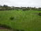 Photo 5 of Cargaclogher Rd, Keady