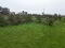 Photo 7 of Cargaclogher Rd, Keady