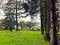 Photo 26 of 4 Woodside Avenue, Omagh