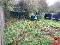 Photo 31 of 29 Garag Hill, Castlederg