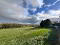 Photo 50 of 16 Drumard Hill, Knockloughrim, Magherafelt