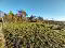 Photo 1 of Building Sites At, Ennismore Road, Portadown