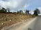 Photo 1 of 60m North Of 72 Letterbrat Road, Plumbridge, Omagh
