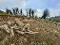 Photo 3 of 60m North Of 72 Letterbrat Road, Plumbridge, Omagh