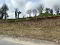 Photo 5 of 60m North Of 72 Letterbrat Road, Plumbridge, Omagh