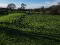 Photo 17 of Lands At Stonepark Road, C.13.8 Acres, Brookeborough, Enniskillen
