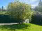 Photo 4 of 12 Rossdowney Park, Waterside, Derry / Londonderry