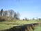 Photo 4 of Blacktown Road, Dungannon