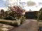 Photo 2 of 11 Ballyhannon Park, Portadown