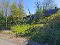 Photo 8 of Drumreenagh, Scotshouse, Clones