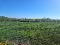 Photo 18 of Drumreenagh, Scotshouse, Clones