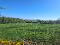 Photo 19 of Drumreenagh, Scotshouse, Clones