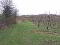 Photo 3 of Lands At 53 Grange Road, Armagh