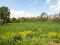 Photo 1 of Land At Blackwatertown Road, Armagh