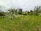 Photo 34 of 1 Ardglass Road, Castlewellan