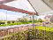Photo 12 of 8 Silverwood Court, Lurgan