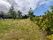 Photo 23 of 14 Dundrinne Rise, Castlewellan