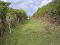 Photo 3 of 40 Riverside Road, Ballynahinch
