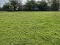 Photo 7 of 40 Riverside Road, Ballynahinch