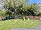 Photo 21 of 12 Lambrook Meadows, Omagh