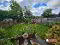 Photo 16 of 4 Sunninghill Gardens, Chichester Park, Belfast