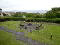 Photo 11 of 21 Mount Royal, Donaghadee