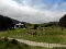 Photo 12 of Glenariff Beach Hut, 217 Garron Road, Waterfoot