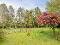 Photo 13 of 55 Draperstown Road, Desertmartin, Magherafelt