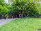 Photo 48 of 15 Woodville Avenue, Lurgan