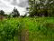 Photo 47 of 87 Blackisland Road, Portadown, Craigavon