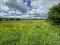 Photo 4 of Land Opposite, 41 Crew Road, Ardglass
