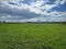 Photo 10 of Land Opposite, 41 Crew Road, Ardglass