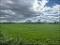Photo 4 of Land Adjacent To, 42 Crew Road, Ardglass