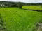 Photo 3 of 27 Acres Of Agricultural Land, Doon Road, Draperstown, Magherafelt