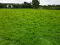 Photo 4 of 27 Acres Of Agricultural Land, Doon Road, Draperstown, Magherafelt