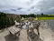 Photo 32 of 44 Kilmegan Road, Castlewellan