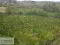 Photo 20 of C. 24 Acres With Former Dwelling, Lands At 14 Altawark Rd, Brookeborough