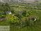 Photo 25 of C. 24 Acres With Former Dwelling, Lands At 14 Altawark Rd, Brookeborough