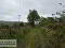 Photo 26 of C. 24 Acres With Former Dwelling, Lands At 14 Altawark Rd, Brookeborough