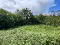 Photo 6 of 19 Tullyveagh Road, Cookstown