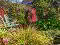 Photo 38 of 1 Manse Road, Bangor