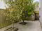 Photo 45 of 5 Fern Close, Tobermore Road, Magherafelt