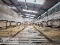 Photo 46 of 66 Claranagh Road, Excellent C. 50.75 Acre Residential Farm, Tempo
