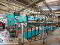 Photo 50 of 66 Claranagh Road, Excellent C. 50.75 Acre Residential Farm, Tempo