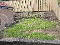 Photo 9 of 19 Prince Edward Drive, Stranmillis, Belfast