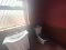 CINEMA ENSUITE