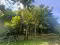 Photo 10 of Circa 41 Acres Of Land, Bishopscourt Road