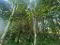 Photo 7 of Circa 41 Acres Of Land, Bishopscourt Road